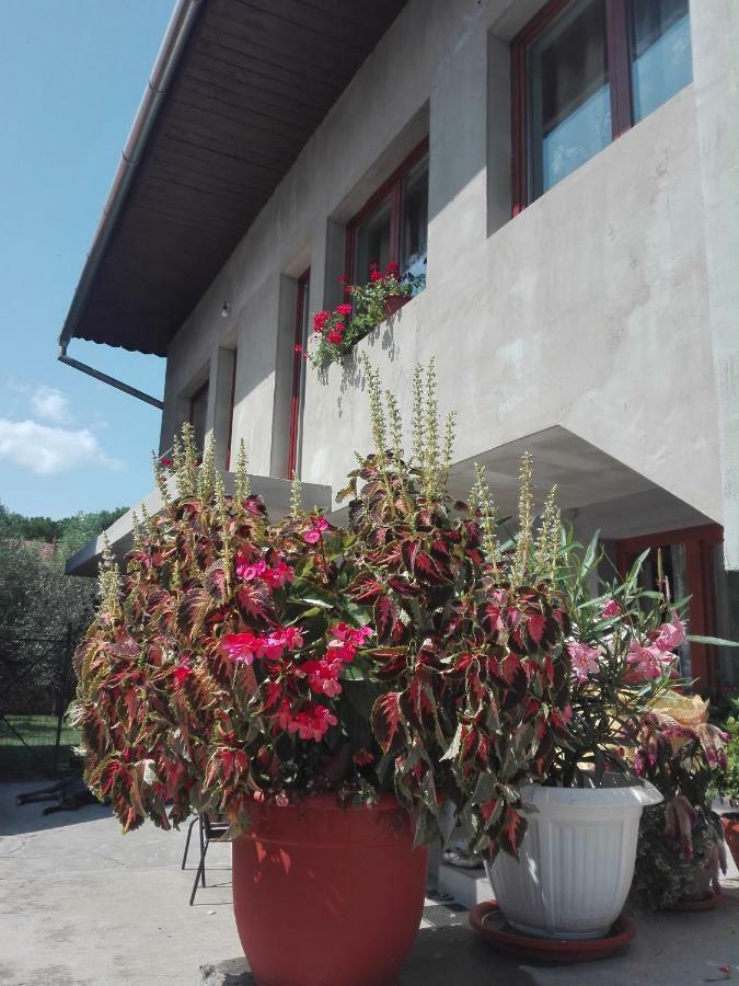 Hotel Kalotaszeg Vendeghaz Izvoru Crisului Exterior foto